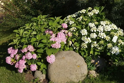 Land Fleesensee Komfortable Ferienresidenz