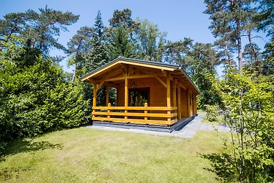 Luxe lodge voorzien van sauna en stoomcabine