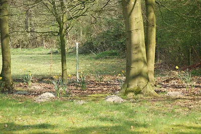 FeWo Dingdener Heide