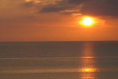 Meeuw (Meeuwennest Scharbeutz)