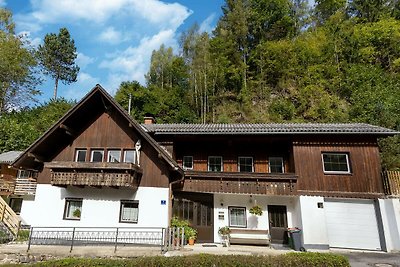 Ferienwohnung in Feld am See in Kaernten