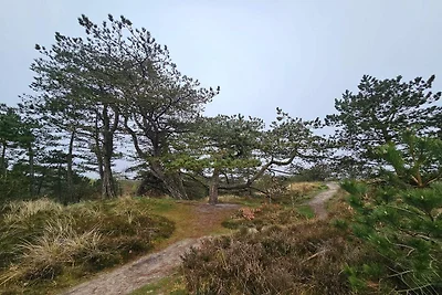 6 Personen Ferienhaus in Rømø-By Traum