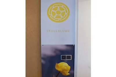 Suite TROLLBLUME
