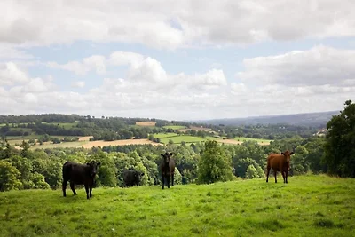 Hütte am Langley Dam mit Seeblick