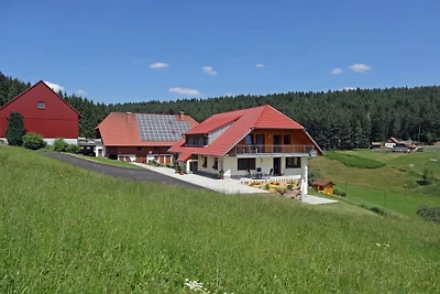 Sonnenschein auf dem Florihof