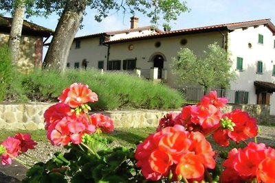 Wohnung in Poppi mit privater Terrasse