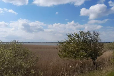 6 Personen Ferienhaus in Vesløs-By Traum