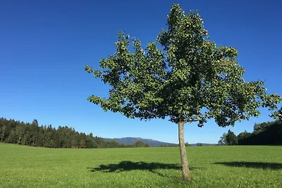 5 Landhaus Bauer