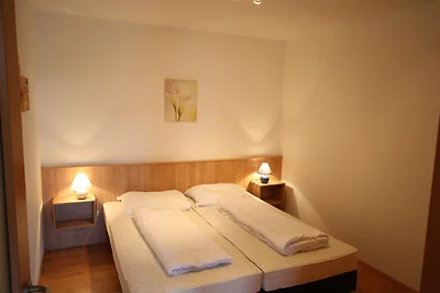 Appartement in Skigebietnähe