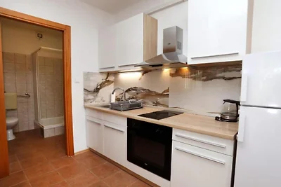 Apartments Gogi - One bedroom apartment (A6)