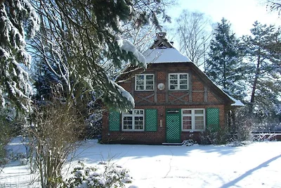 Ferienhaus in Essel mit Schwimmbecken