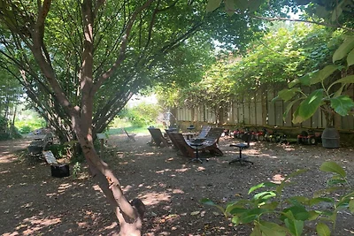 Stupenda yurta della mongola in Provenza