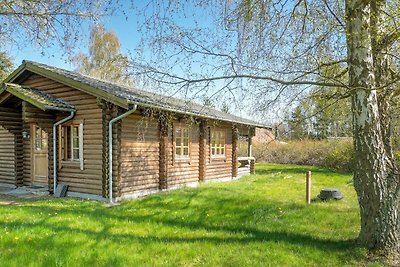 6 Personen Ferienhaus in Eskebjerg-By Traum