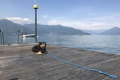 Appartamento per vacanze con 1 camera da...