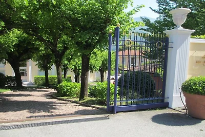 Il nido del lago