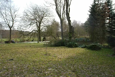 6 Personen Ferienhaus in Oksbøl-By Traum