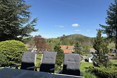 Appartement spacieux à Altenau avec terrasse