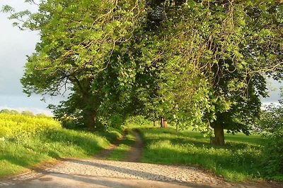 Wellnessoase Domizil Eden
