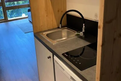 Ferienhaus in Les Villards mit direktem Zugan...