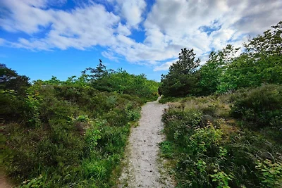 4 Personen Ferienhaus in Hals-By Traum