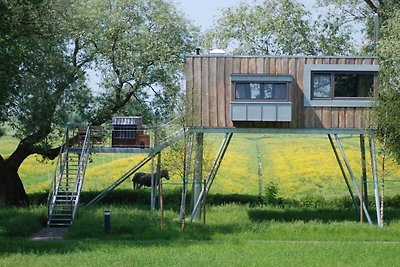 Ferienhaus mit 1 Schlafzimmer