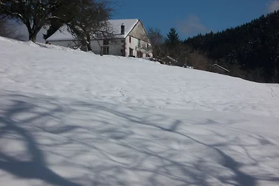 Ferienhaus Vagney nahe Ski Gérardmer