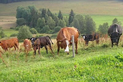 Rutscherhof Komfortable Ferienresidenz