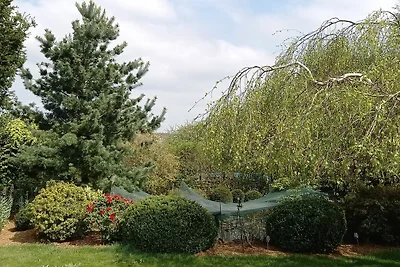 Casa vacanze a Haserich con terrazza