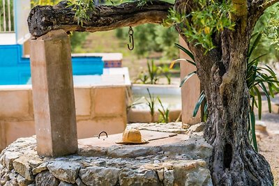 Villa in Selva mit privatem Pool