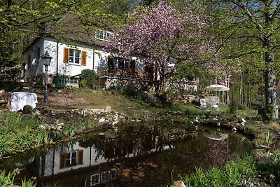 Ferienwohnung in Oberfranken mit Garten