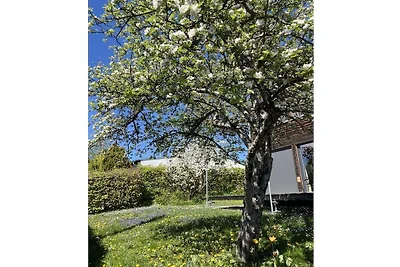 Ferienhaus mit 2 Schlafzimmer