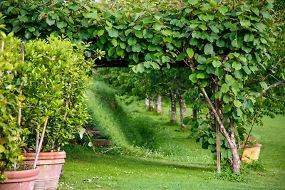 Hütte in Lucca mit Terrasse und Garten