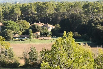 Vakantiehuis in Provence met Zwembad