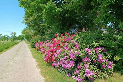 Ferienhaus mit 3 Schlafzimmer