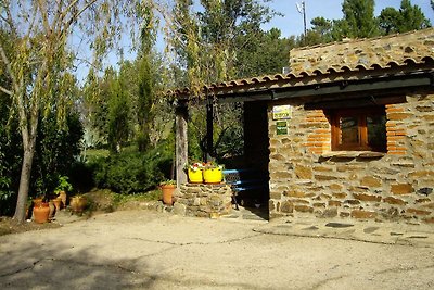 Moderner Bauernhof in Valencia de Alcántara m...