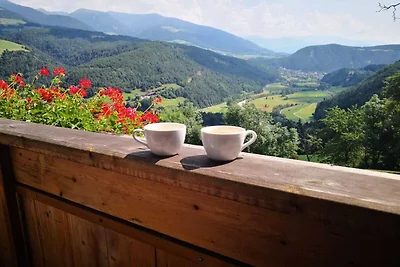 Oberplunerhof - appartamento per vacanze...