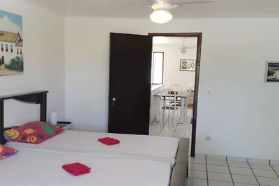 Villa Cactus Salvador Brasilien