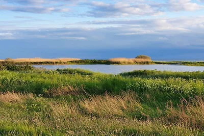 10 personas casa en Dragør-By Traum