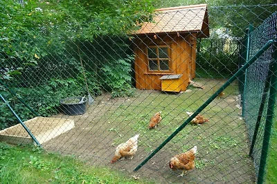 Ferienhof Hohe Drei Zinnen