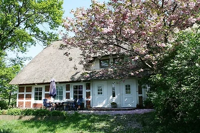 Ferienwohnung mit 0 Schlafzimmer