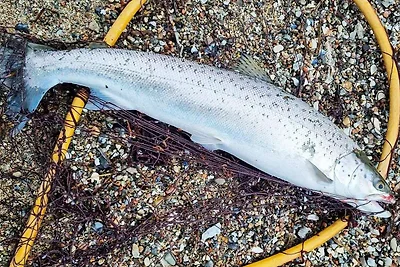 Modernes Refugium mit Spa -- By Traum...