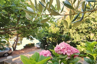 Apartment Kim- Two Bedroom Apartment with Ter...