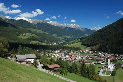 "Pinus" in het Ahrntal