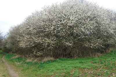 Modernes Refugium mit Blick -- By Traum...