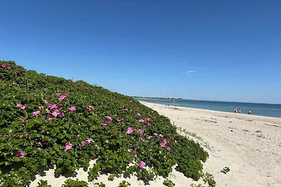 Luxe strand retraite -- By Traum...