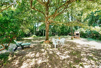 Casa ad Andernos con giardino e barbecue