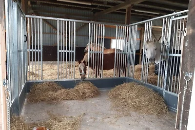 Ferienwohnung mit 2 Schlafzimmer