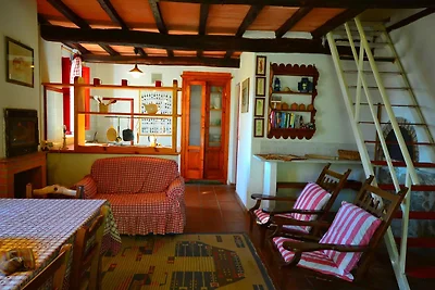 Ferienhaus mit privatem Pool