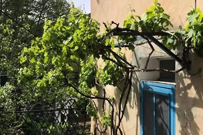 Häuser & Villen für 4 Personen