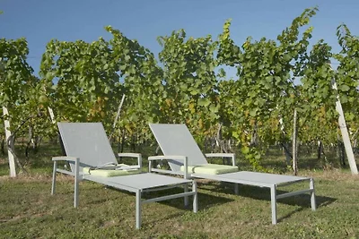 Ferienhaus im Weingarten Das Weinberg